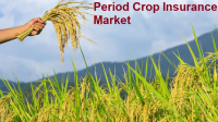 Period Crop Insurance Market