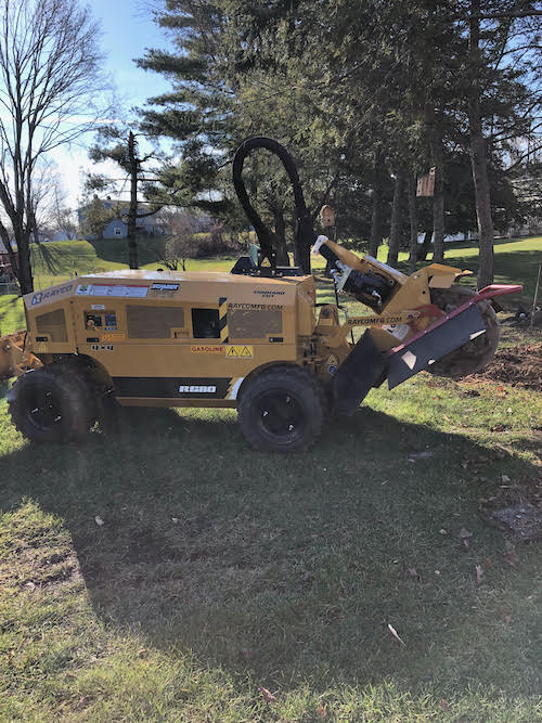 Company Logo For Ace Stump Grinding'