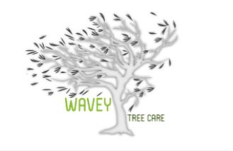 Company Logo For Wavey Tree Care'