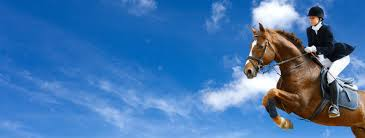 Equestrian Insurance