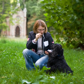 Pet Training'