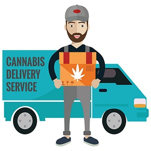 Company Logo For SD weed delivery'