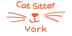 Cat sitter York'