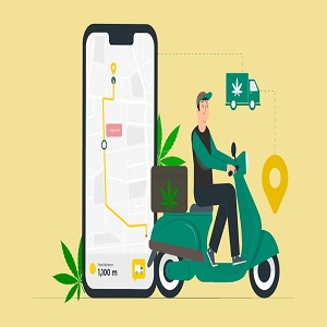 Company Logo For Easy Cannabis Delivery'