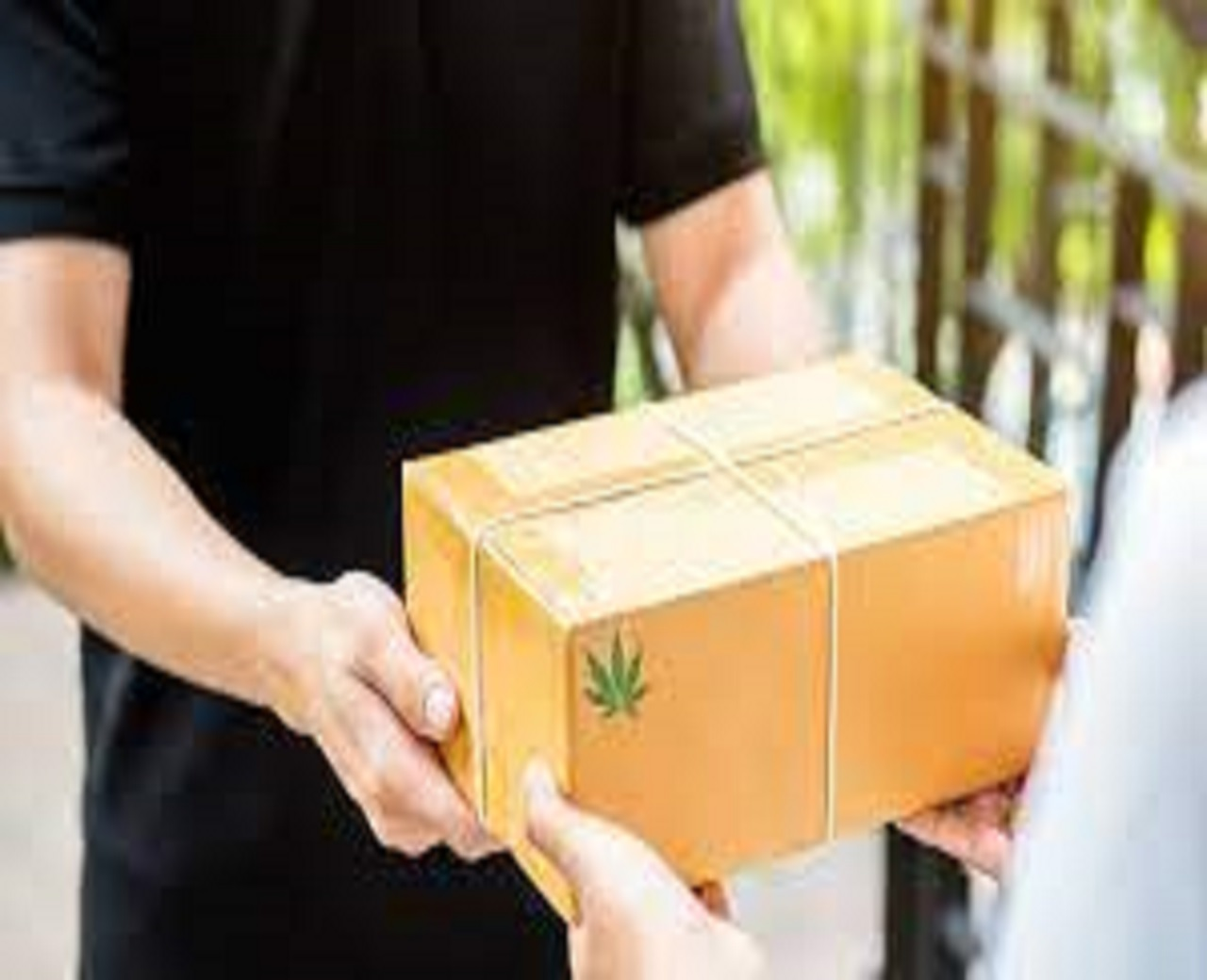 Company Logo For Fast marijuana delivery'