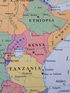 Survival of Kenya's Limbs'