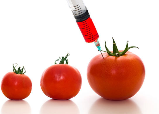 Genetically Modified Food Market