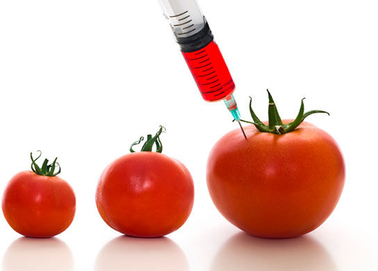 Genetically Modified Food Market'