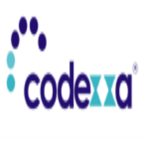 Company Logo For Codexxa Business Solution'