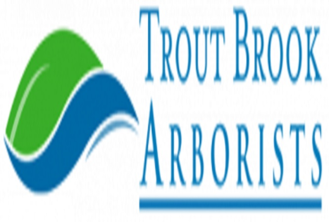 Trout Brook Arborist - Landscaping & Tree Services Logo