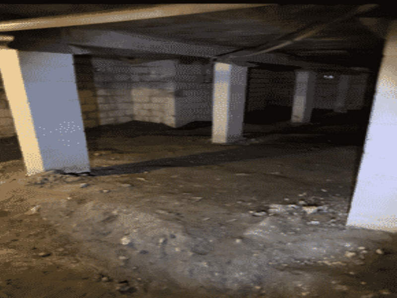 Company Logo For Sebring Crawl Space Repair'