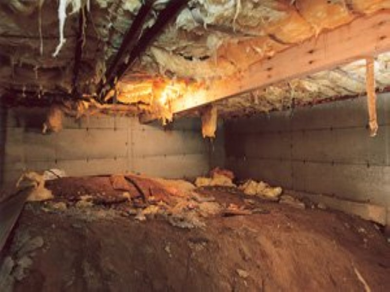 Company Logo For South Daytona Crawl Space Repair'