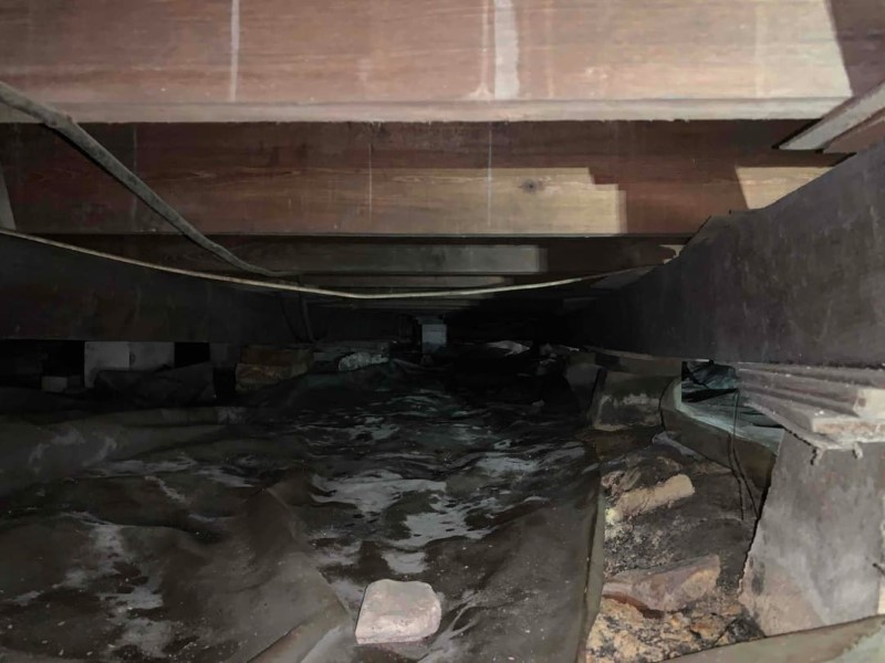 Company Logo For South Daytona Crawl Space Repair'