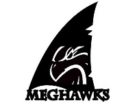 Company Logo For Meghawks IT Solution'