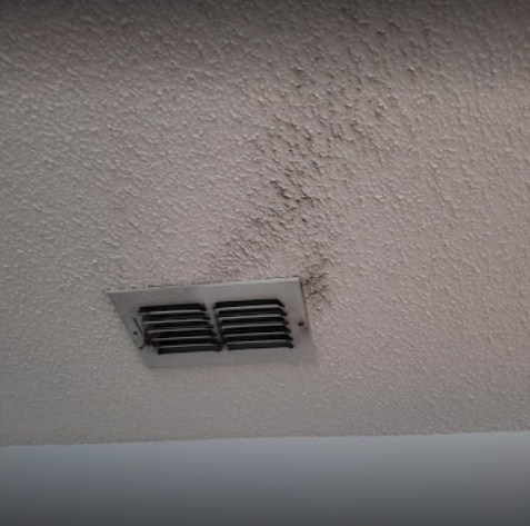 Duct Cleaning Sarasota'