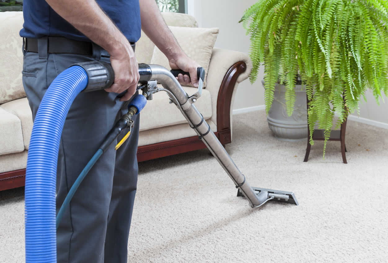 Carpet and Upholstery Cleaning Services Market