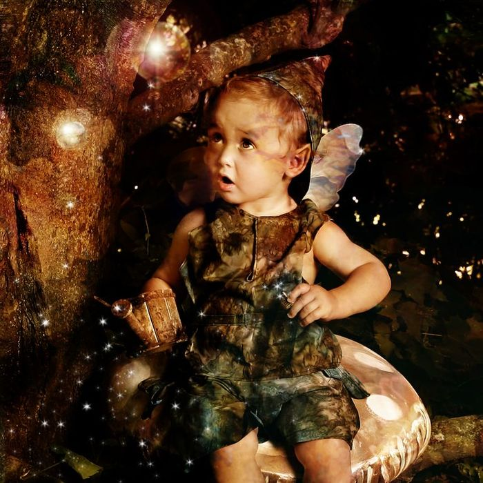 FAE' The Secret World of Fairies'