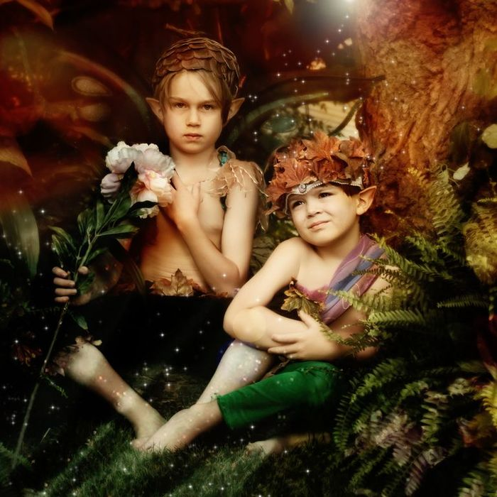 FAE' The Secret World of Fairies'