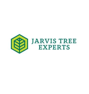 Company Logo For Jarvis Tree Experts'