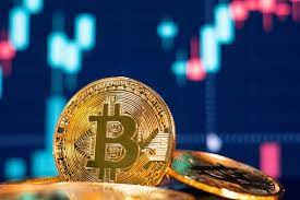 Bitcoin Wallet Market