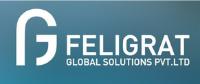 Company Logo For Feligrat Global Solutions Pvt. Ltd.'