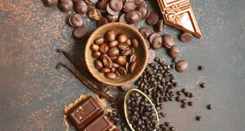 Cocoa Ingredients Market'