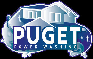 Company Logo For Puget Power Washing'