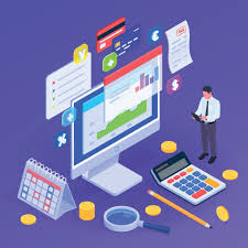 Financial Audit Software