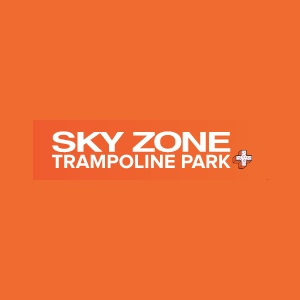 Company Logo For Sky Zone'