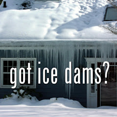 Company Logo For Ice Dam USA'