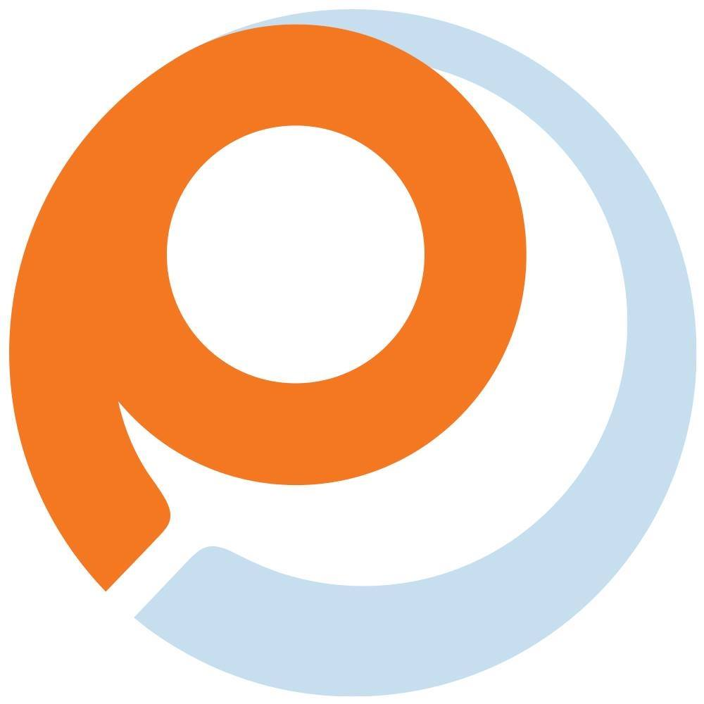 Company Logo For Payless'