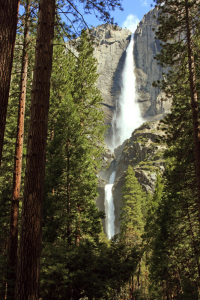 Yosemite Falls Background