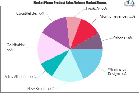 Revenue Operations Service Market'