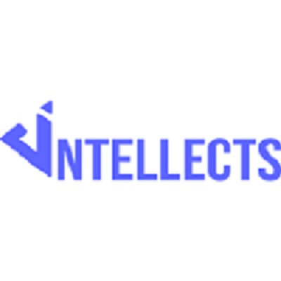 Dintellects Solutions Private Limited