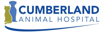 Company Logo For Cumberland Animal Hospital'