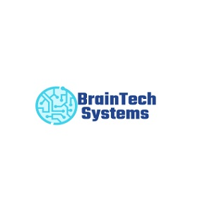 Company Logo For BrainTech Systems'