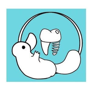 Company Logo For Platypus Dental'
