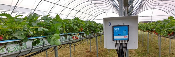 Smart Greenhouse Irrigation System Market'