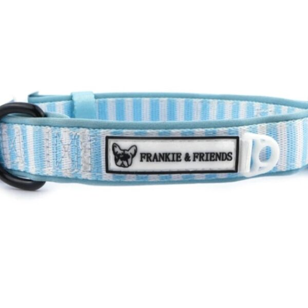 Collars &amp; Leads'