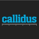 Callidus Surveys'