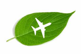 Renewable Aviation Fuel Market'