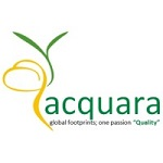 Acquara Management Consultant Logo