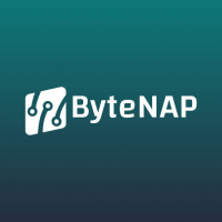ByteNAP Networks LLC Logo
