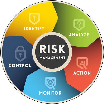 Risk Management Consulting