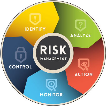 Risk Management Consulting'