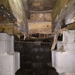 Company Logo For Jasper Foundation Repair'