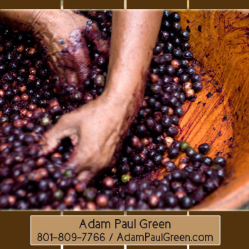 Adam Paul Green'