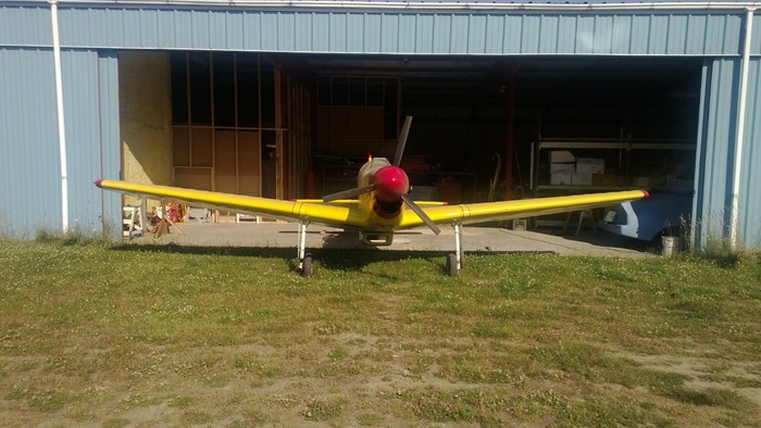 The Cancer Patient's Film'