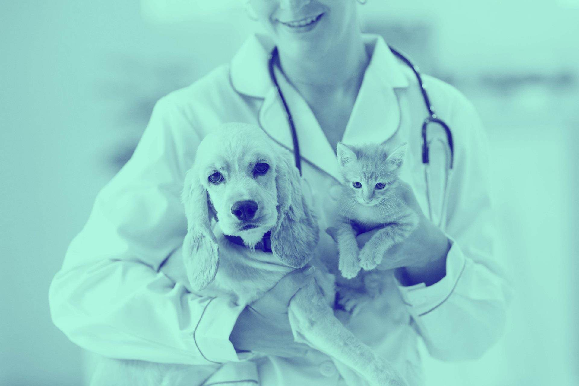 Veterinary Healthcare Market'
