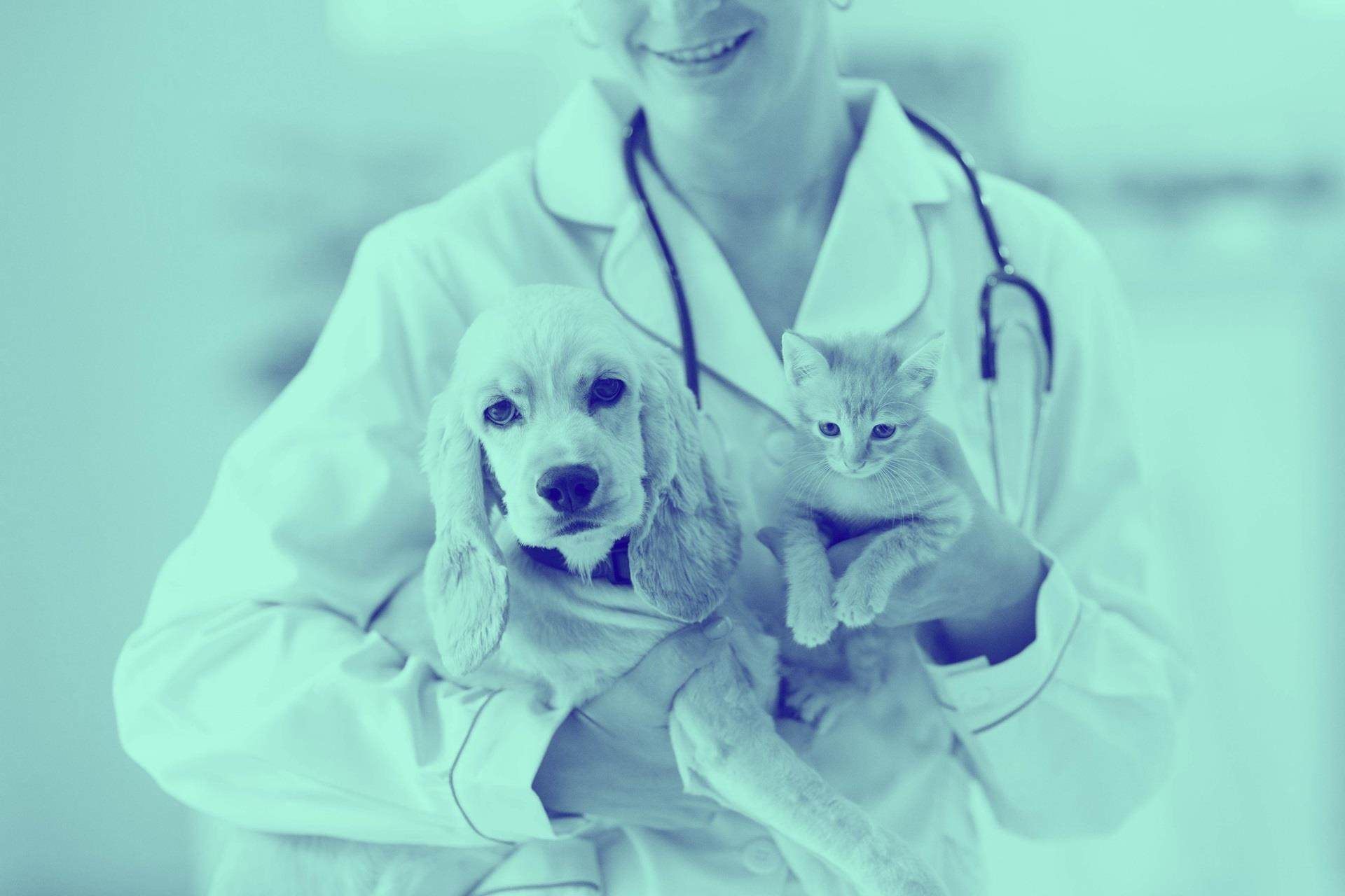 Veterinary Healthcare Market